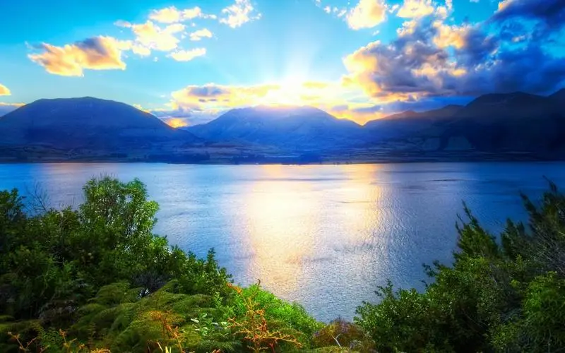 电子独特